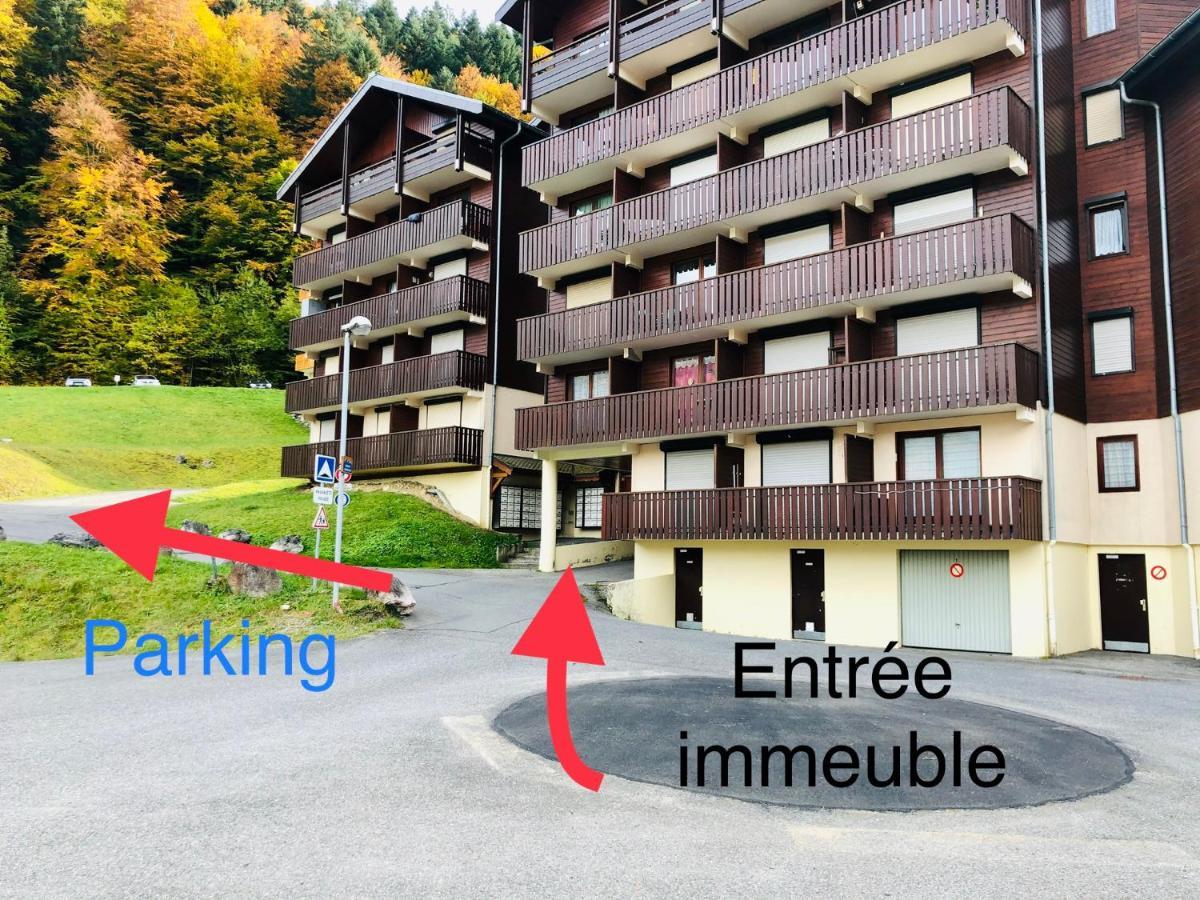 Studio 4 Personnes A 80M Des Pistes De Ski Saint-Jean-dʼAulps Eksteriør billede